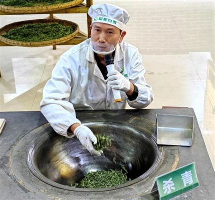 貴州什麼茶好？與茶文化共舞的探索